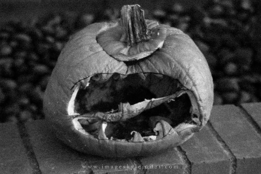 0261 Pumpkin_850.jpg