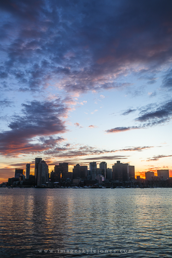 0267 Boston Portrait_850.jpg