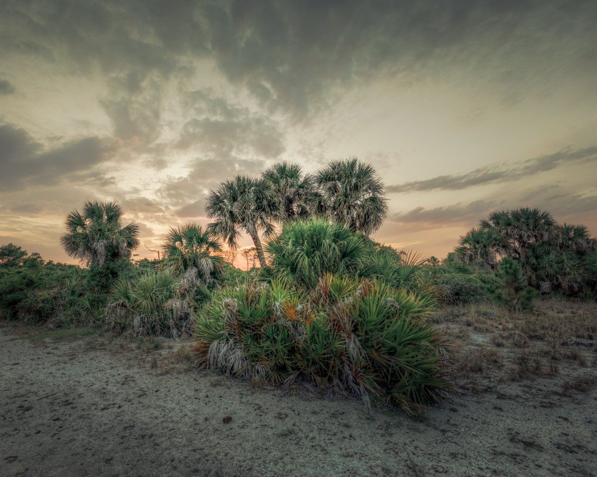 03-09-2018---Caspersen-Beach.jpg