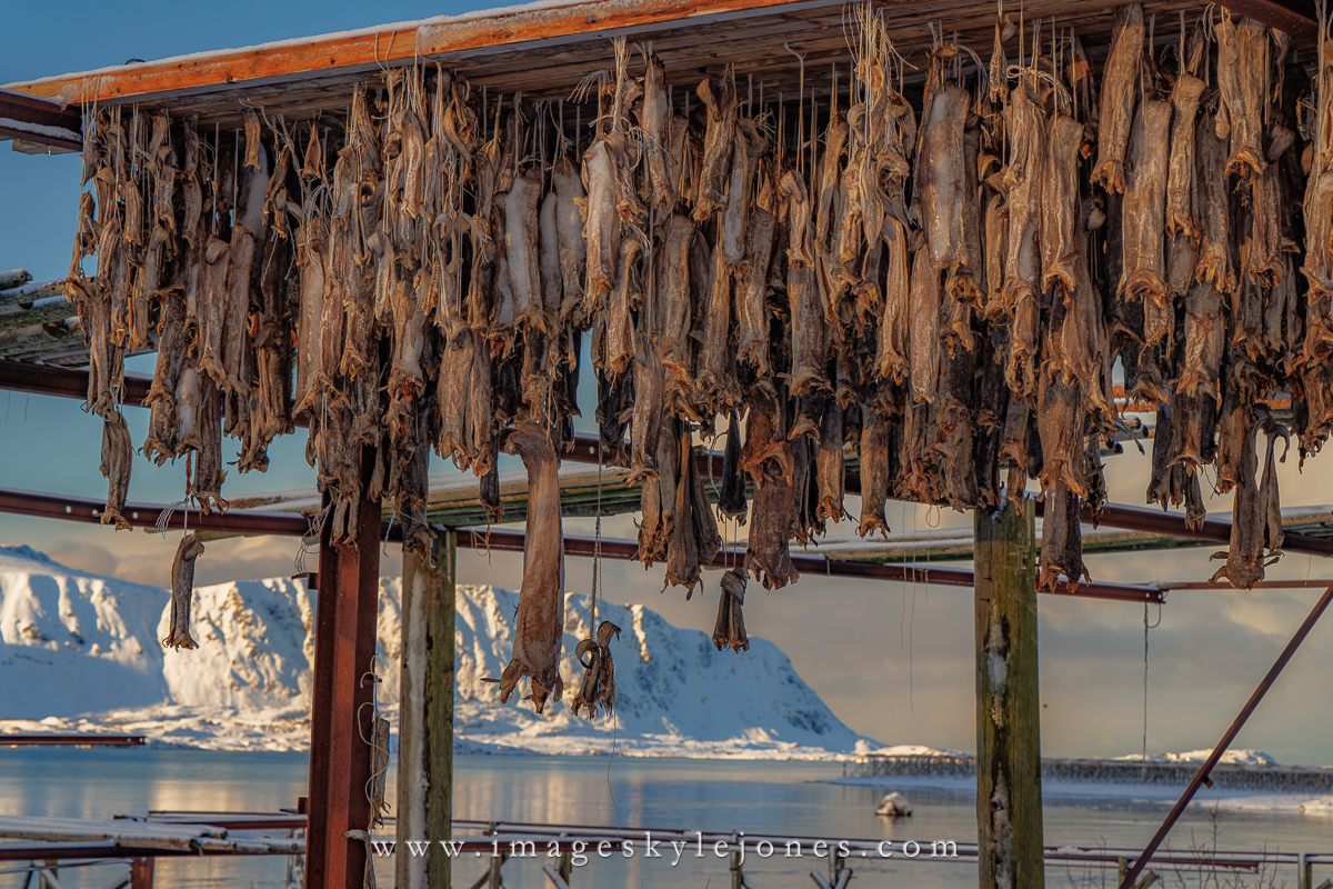 0376 Drying Fish_1200.jpg