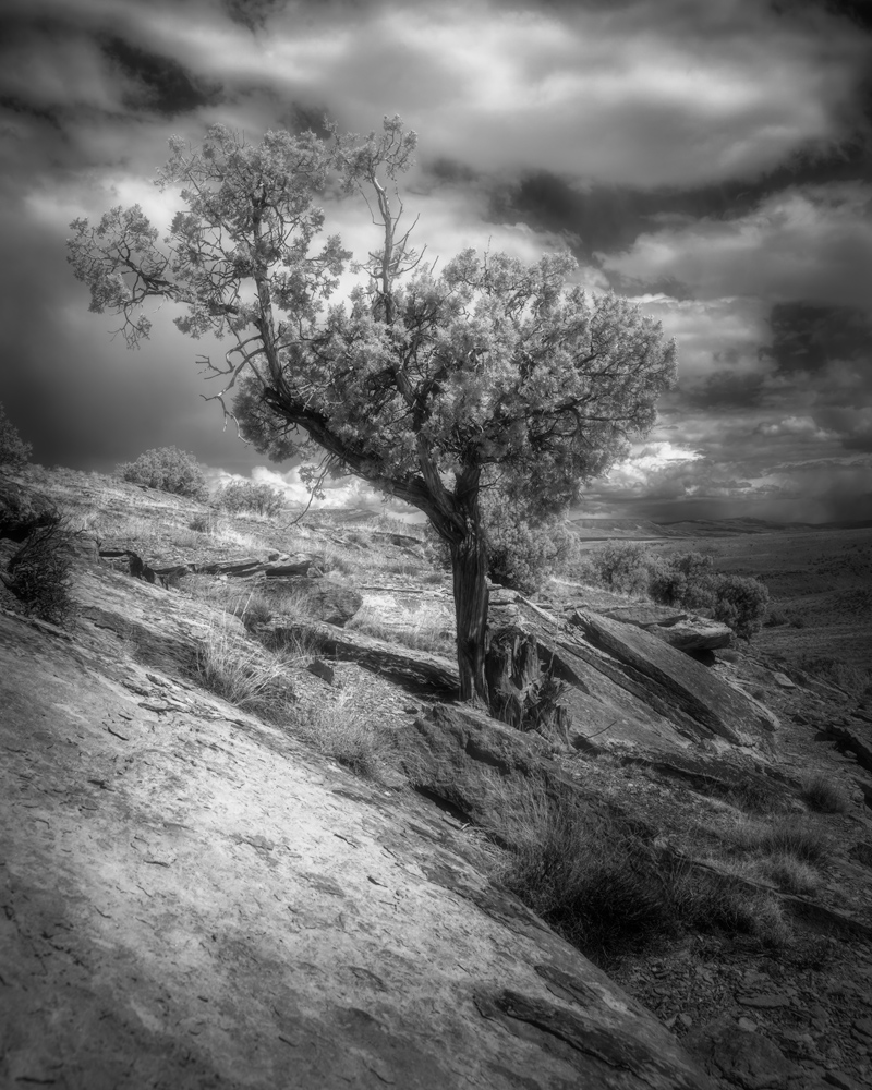 04-17-2021---BNW---Escalante---2.jpg