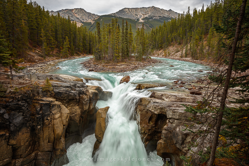 0467 Sunwapta Falls_850.jpg