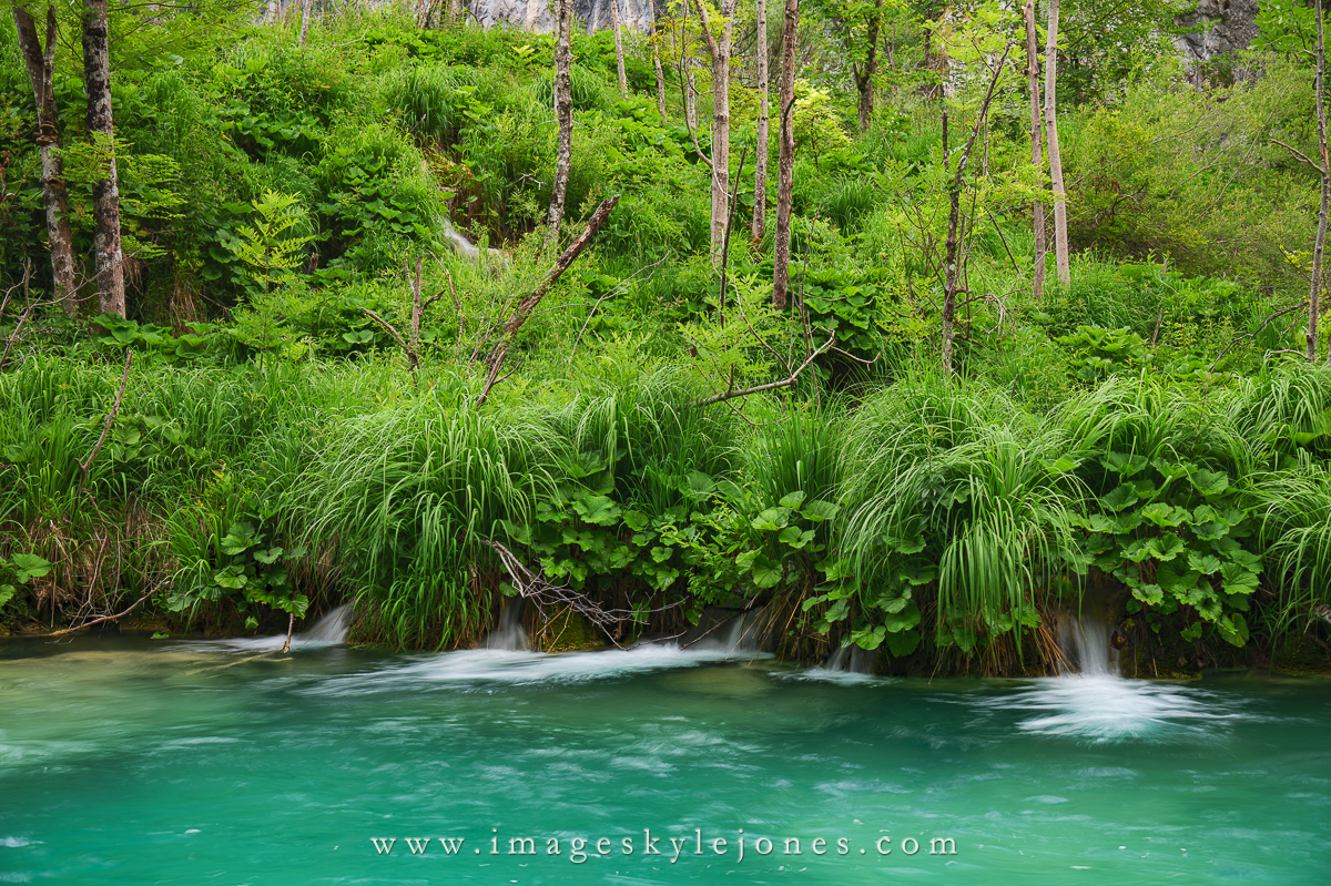 0487 Plitvice Foliage_1200.jpg