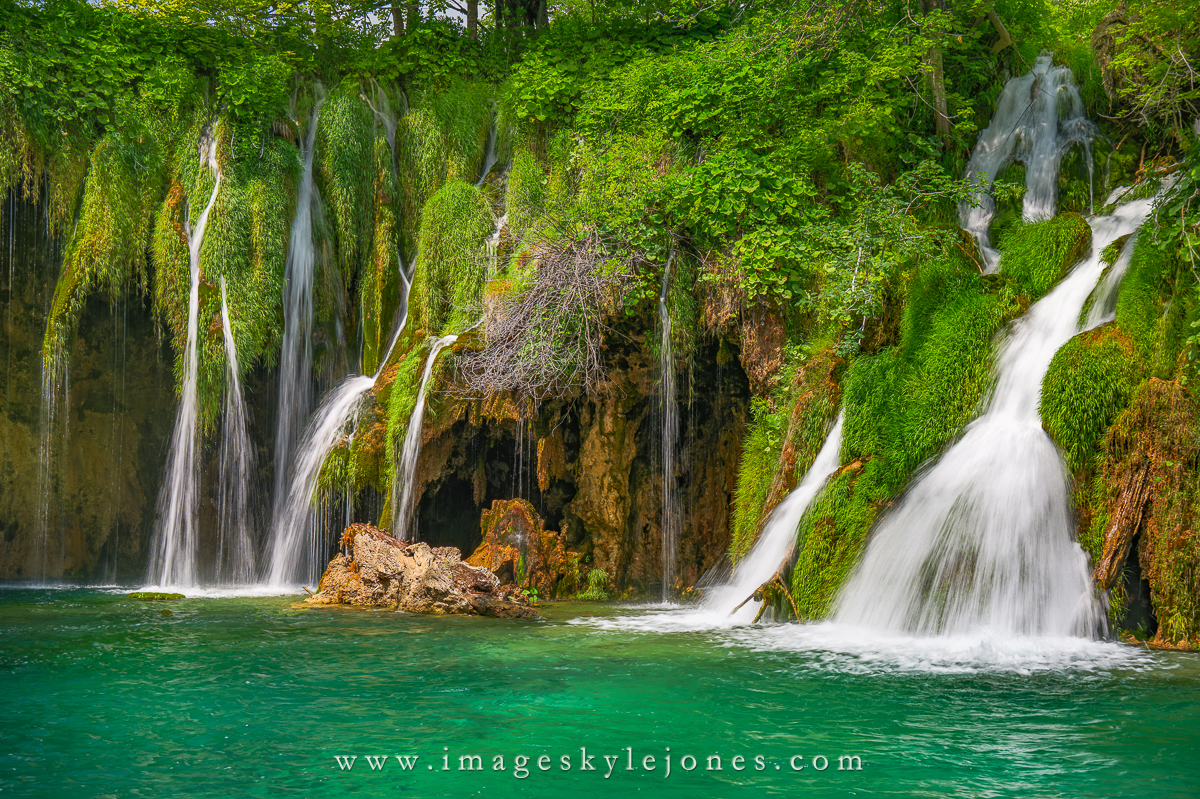 0523 Galovački Buk Details_1200.jpg