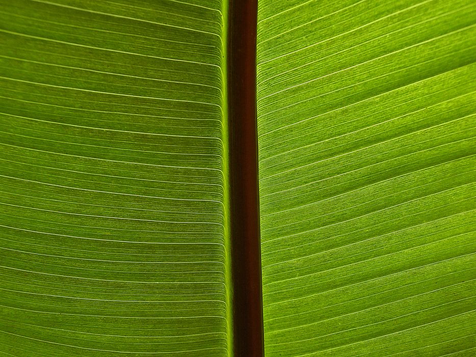 07 31_7592_modifié-1_edited-1.jpg