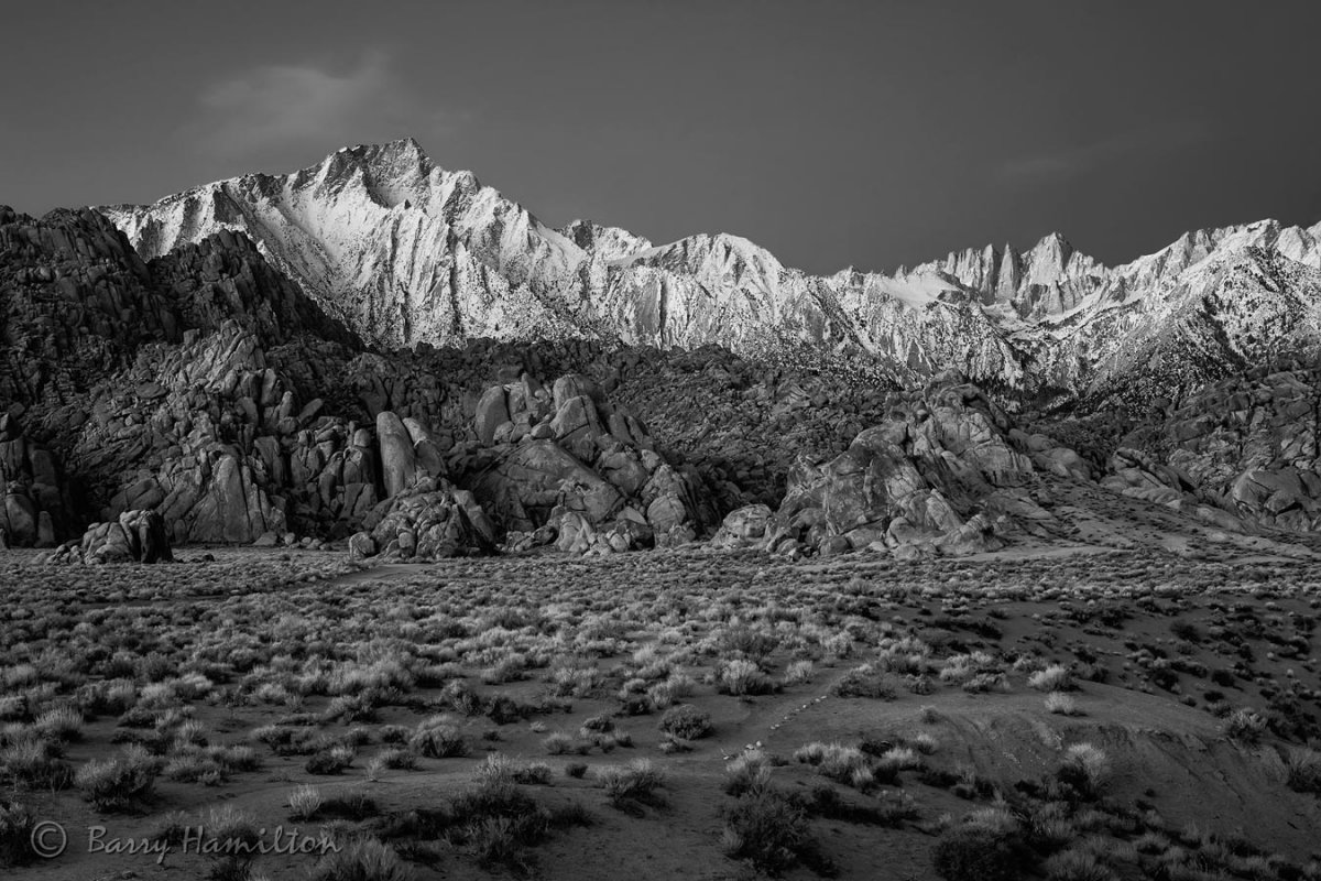 071210_BH_1537bw5.jpg