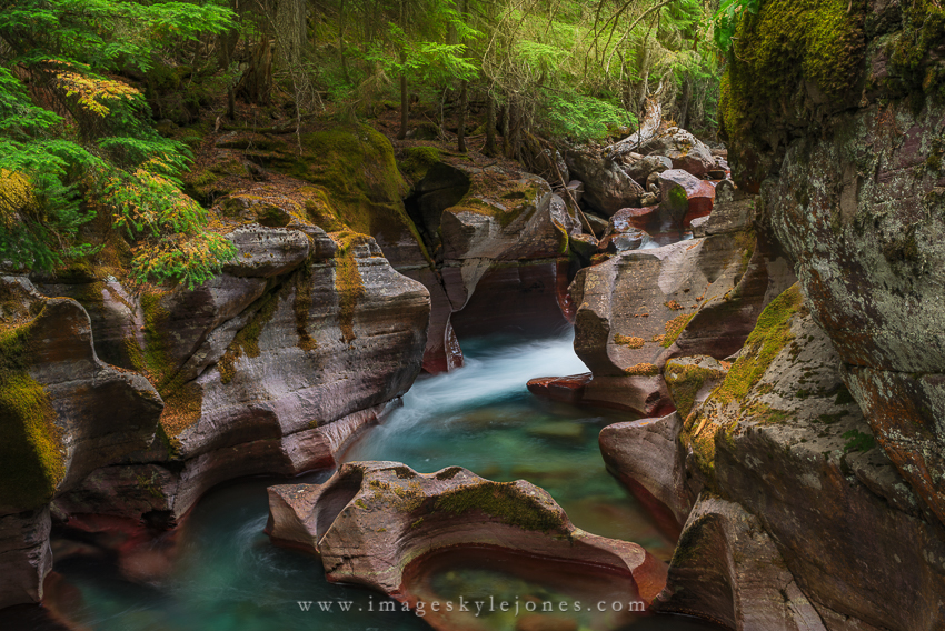 0770 Avalanche Creek_850.jpg