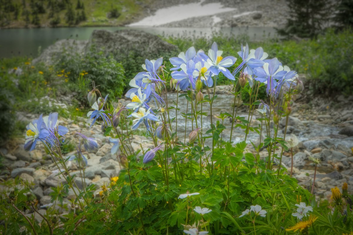 08-10-2019 Blue Lake 3.jpg