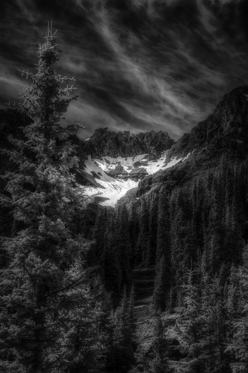 08-10-2019 - IR-BW - 1.1.jpg