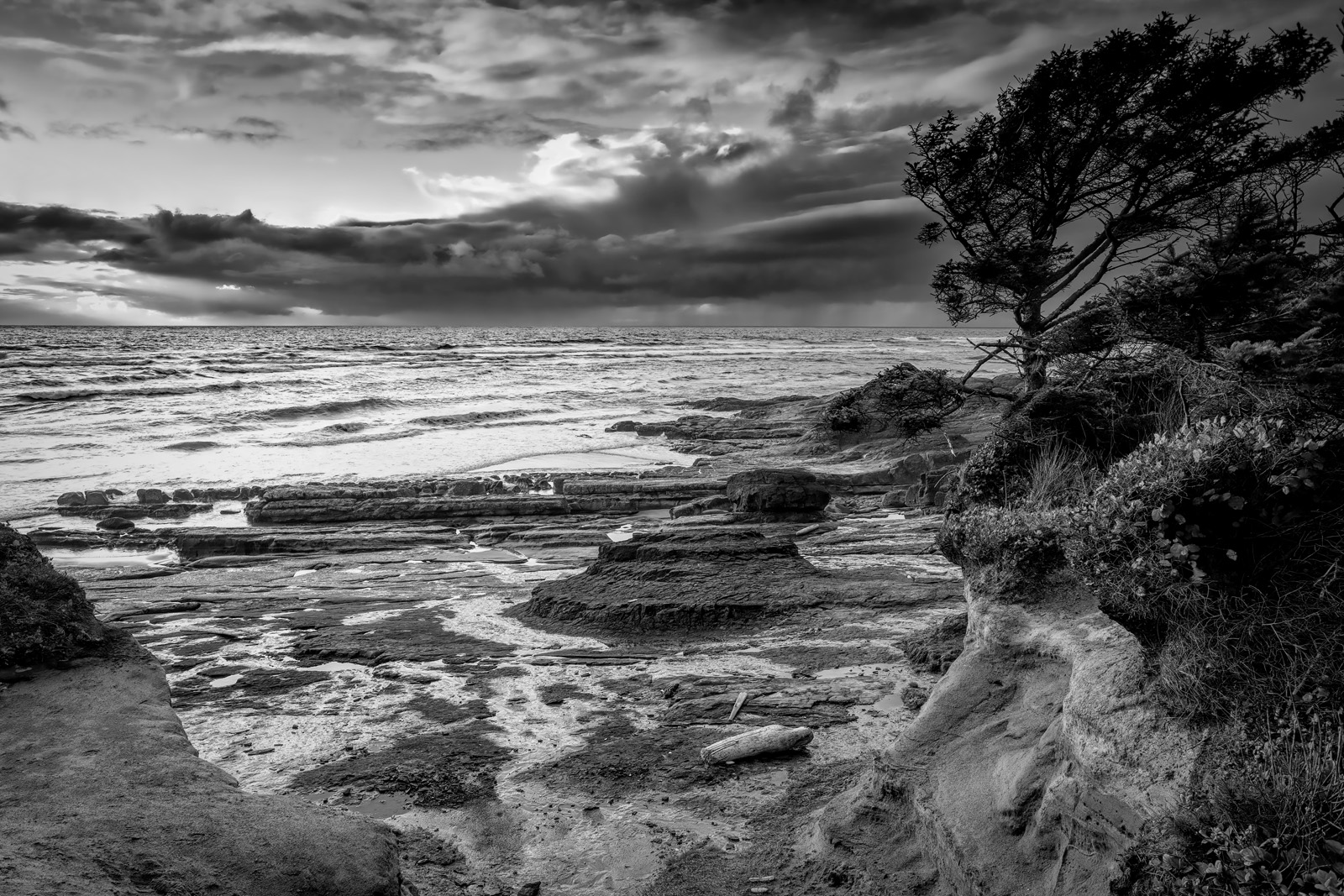 080404_mk3_0966 b&w.jpg