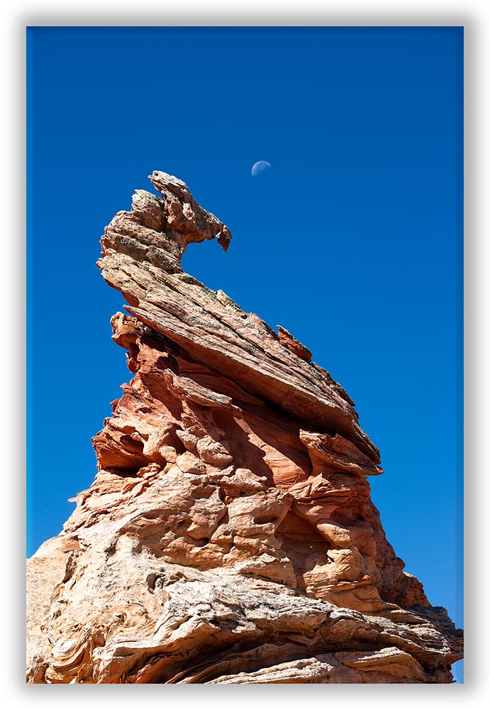 0805_SW 5 08_034 Coyote Buttes Eagle Rock Sunset 2016 01-2 Display.jpg