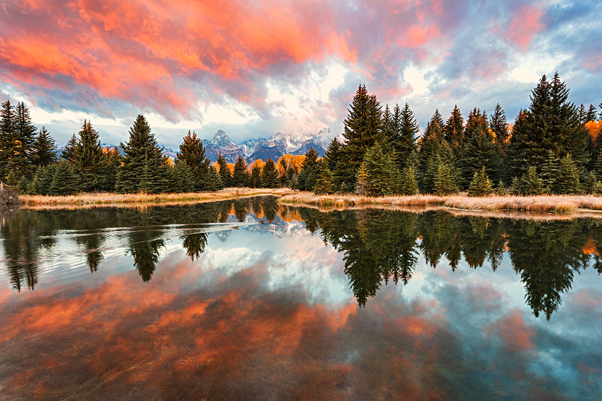 081007_mk3_3380 bw sharp.jpg