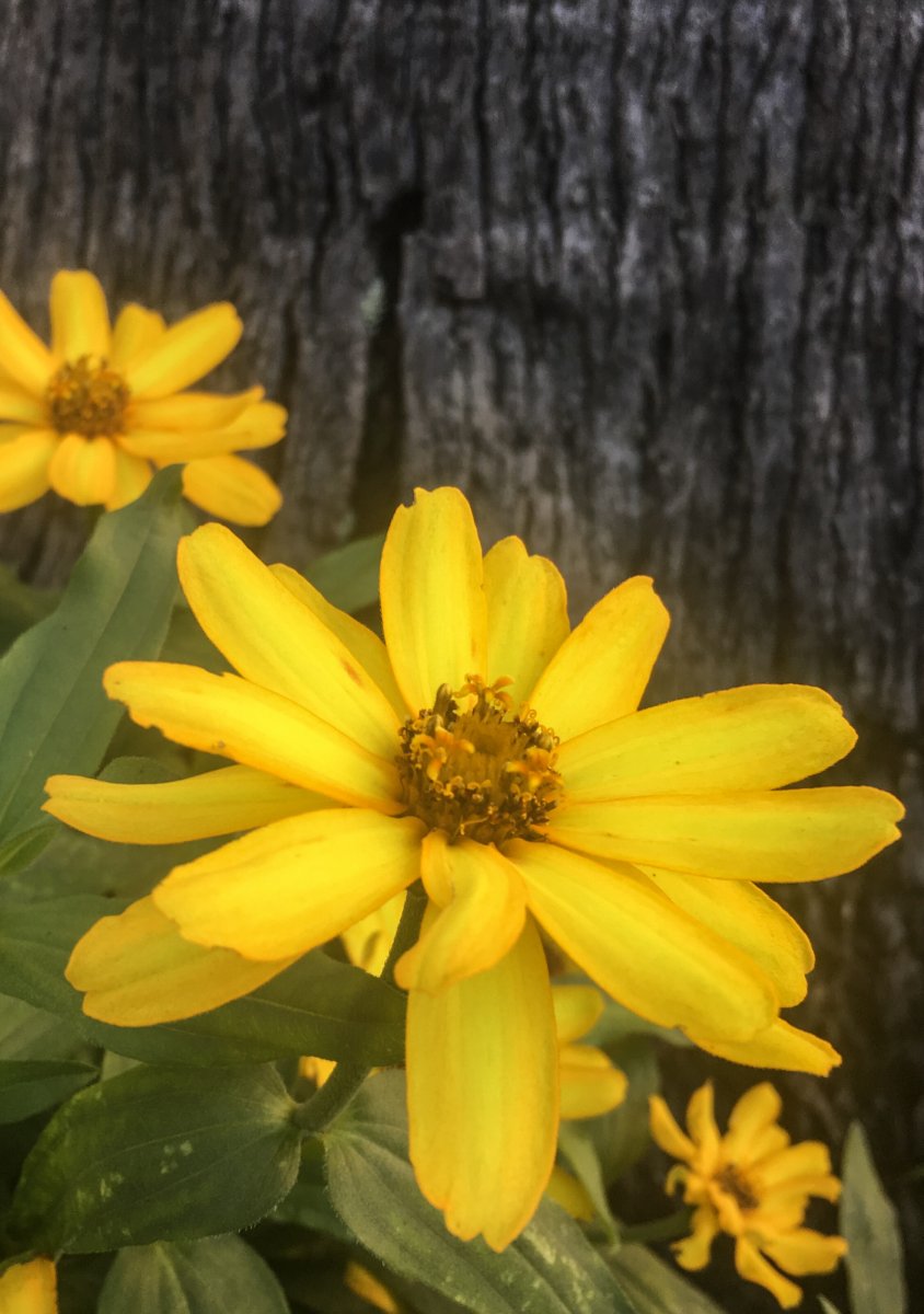 083EE572-41CF-46B9-9EB7-3B15DBCBDD62.jpeg
