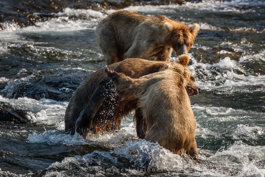 0850 Boys Will Be Boys_850.jpg