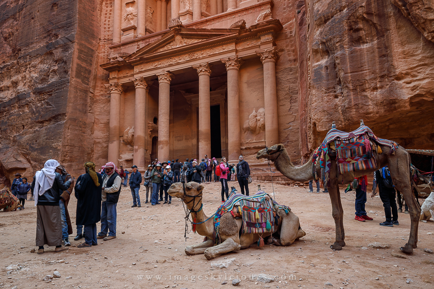 0895 Petra Camels_850.jpg