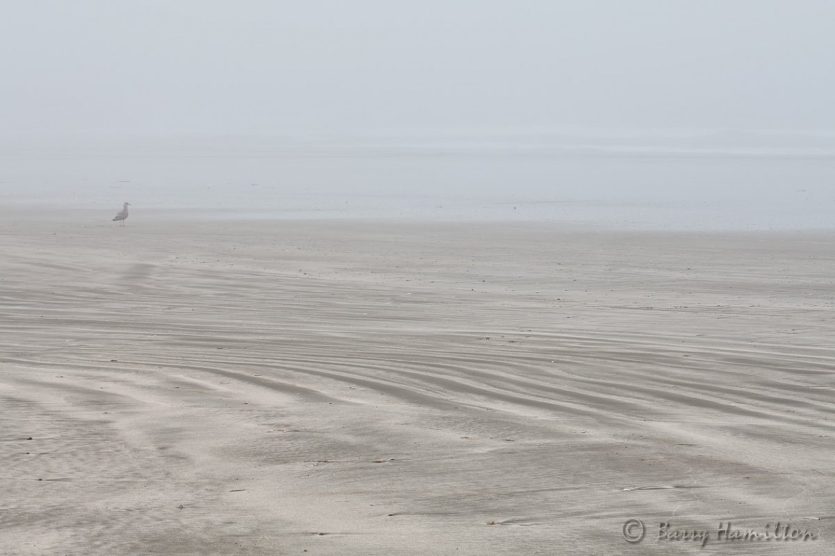 090809_BH_1099-20.jpg