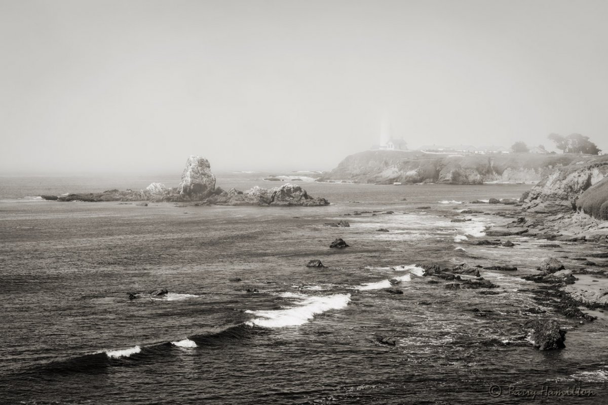 090812_BH_2076bw.jpg
