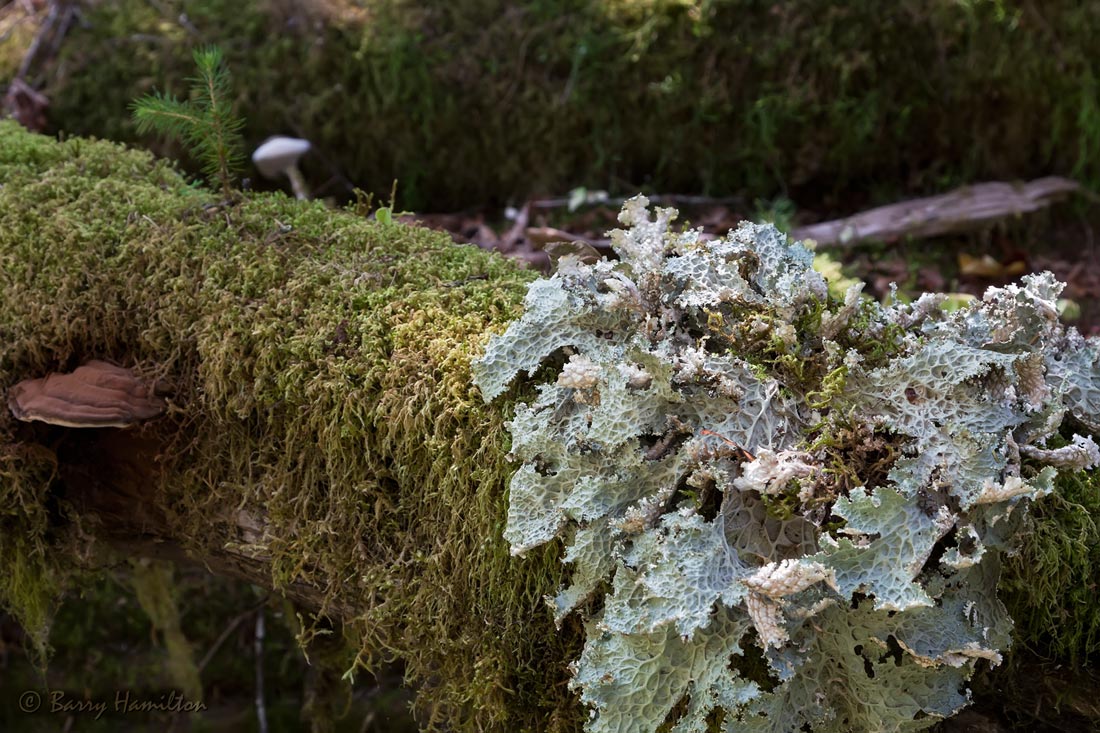 090819_BH_3840.jpg