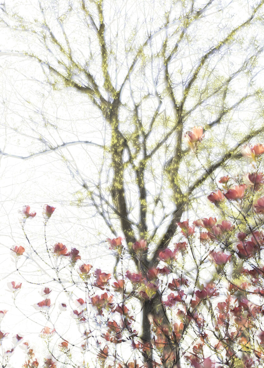 0A7633C5-F34B-4481-BC6F-44FCC1079555.jpeg