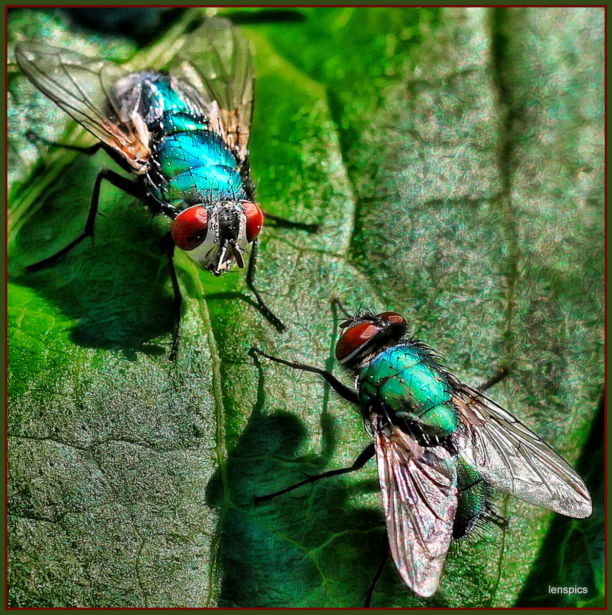 1-1-1-HEAD TO HEAD GREENBOTTLES copy.jpg