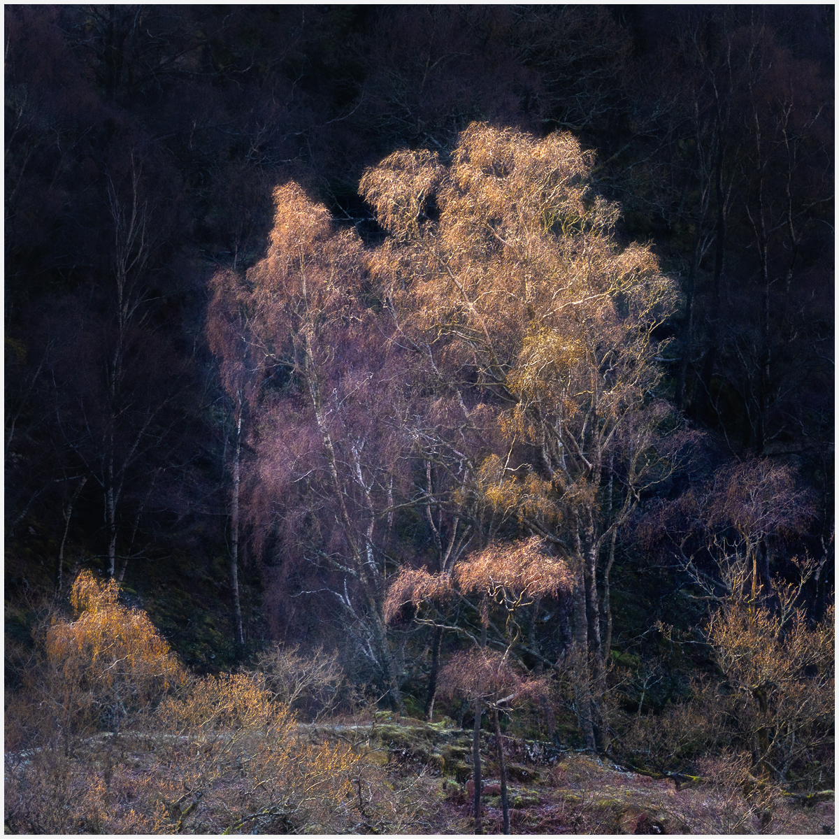 #1 new life Borrowdale.jpg