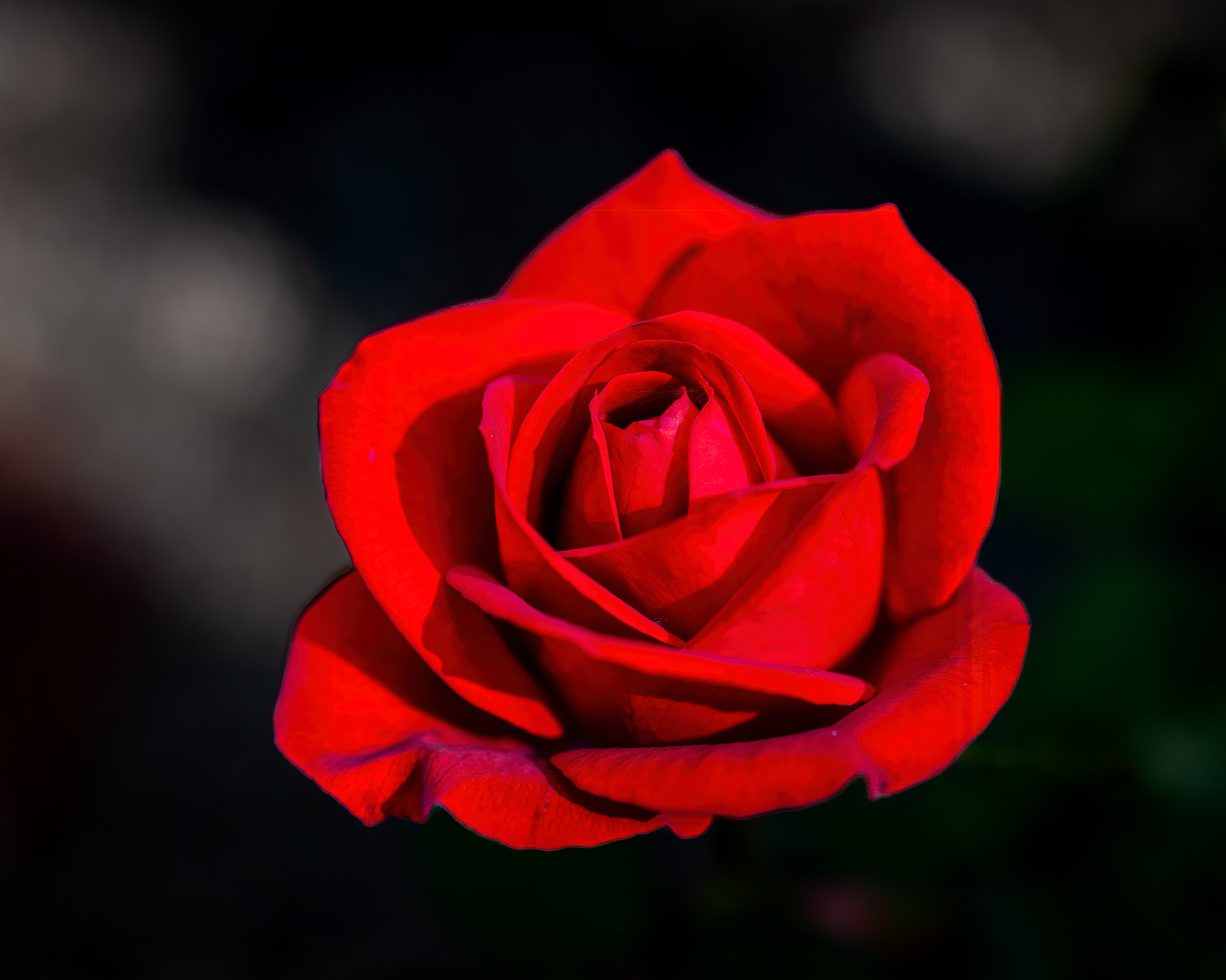 100926_mk3_1571.jpg