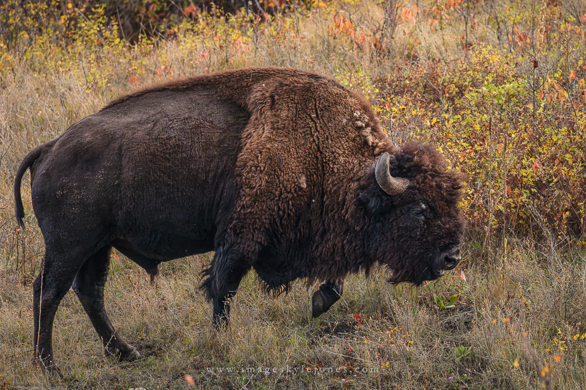 1037 That Looks Good_1200.jpg