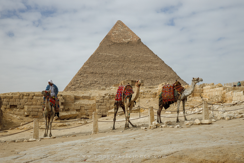 1141 Pyramid and Camels_850.jpg