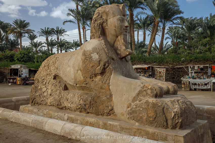 1155 Memphis Sphinx_850.jpg