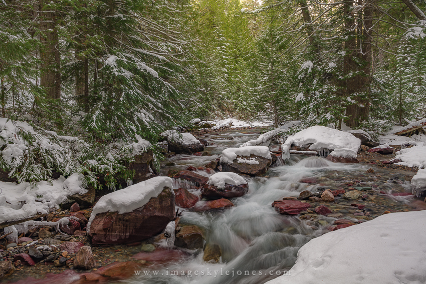 1196 Avalanche Creek Landscape_850.jpg