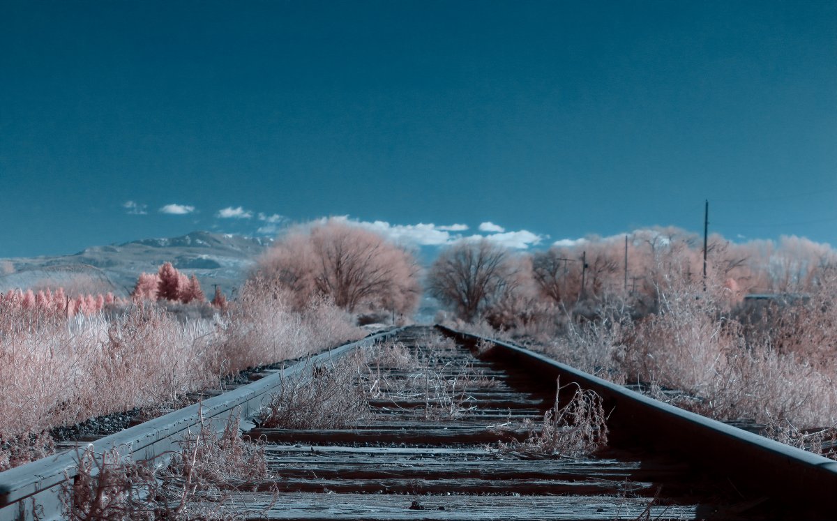 12-18-2018 - 16.2.jpg