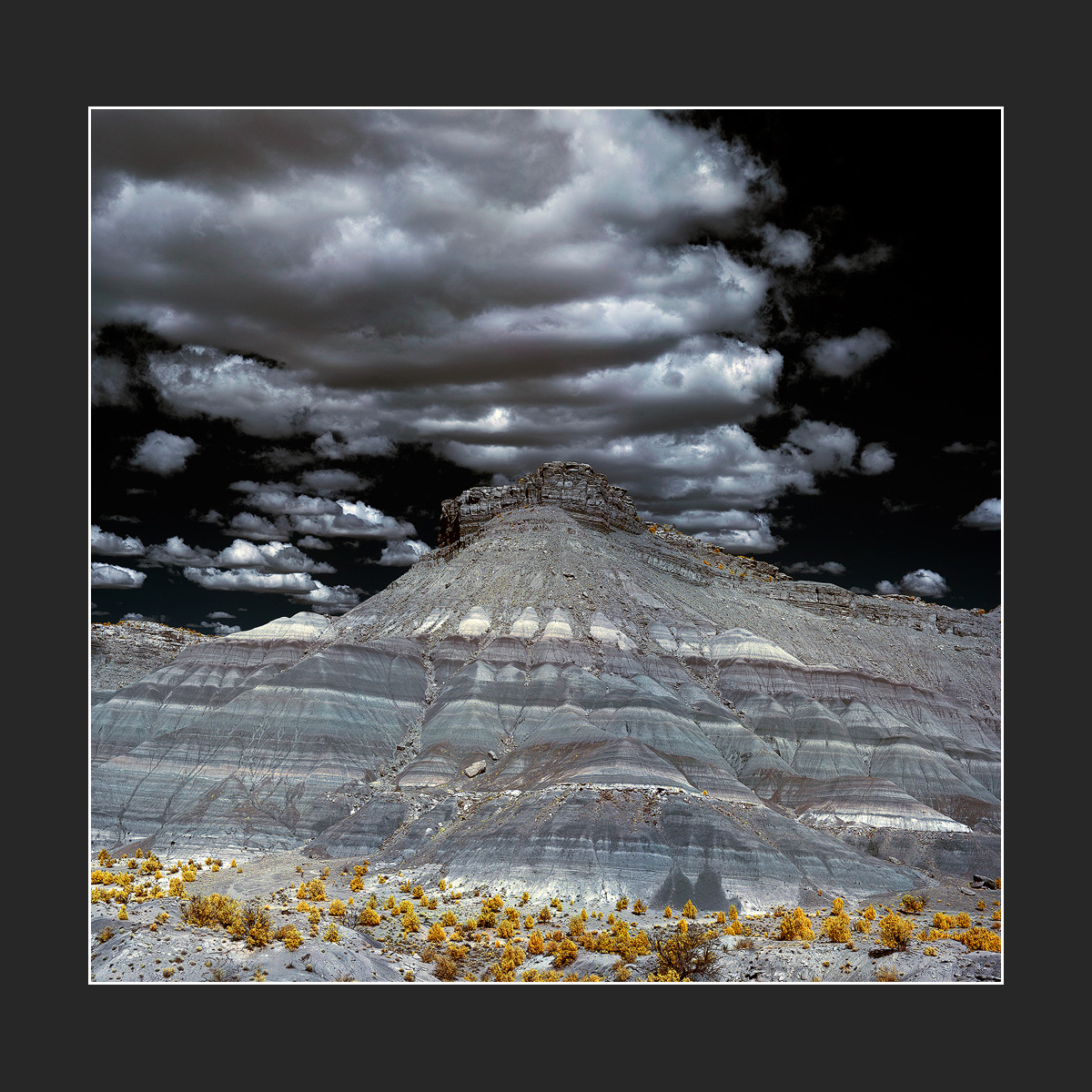 1200x1200e.jpg