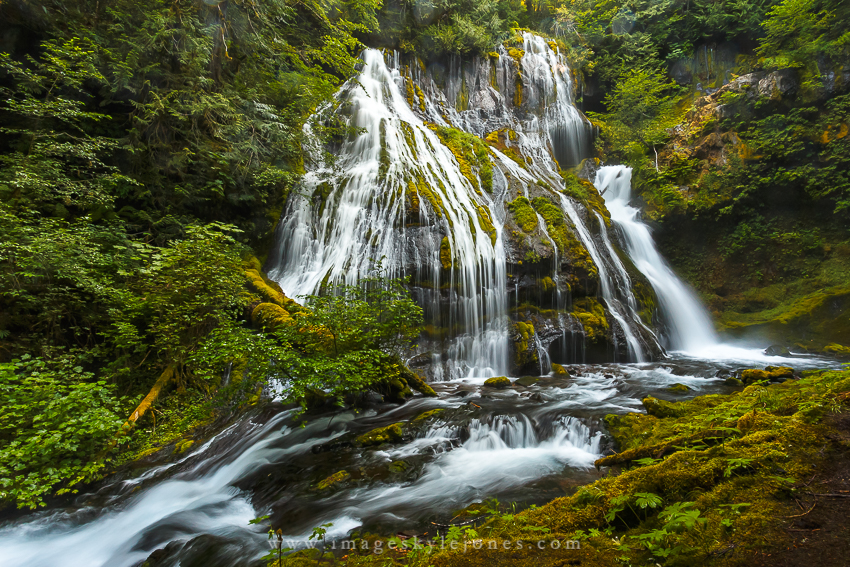 1270 Panther Creek Falls_850.jpg