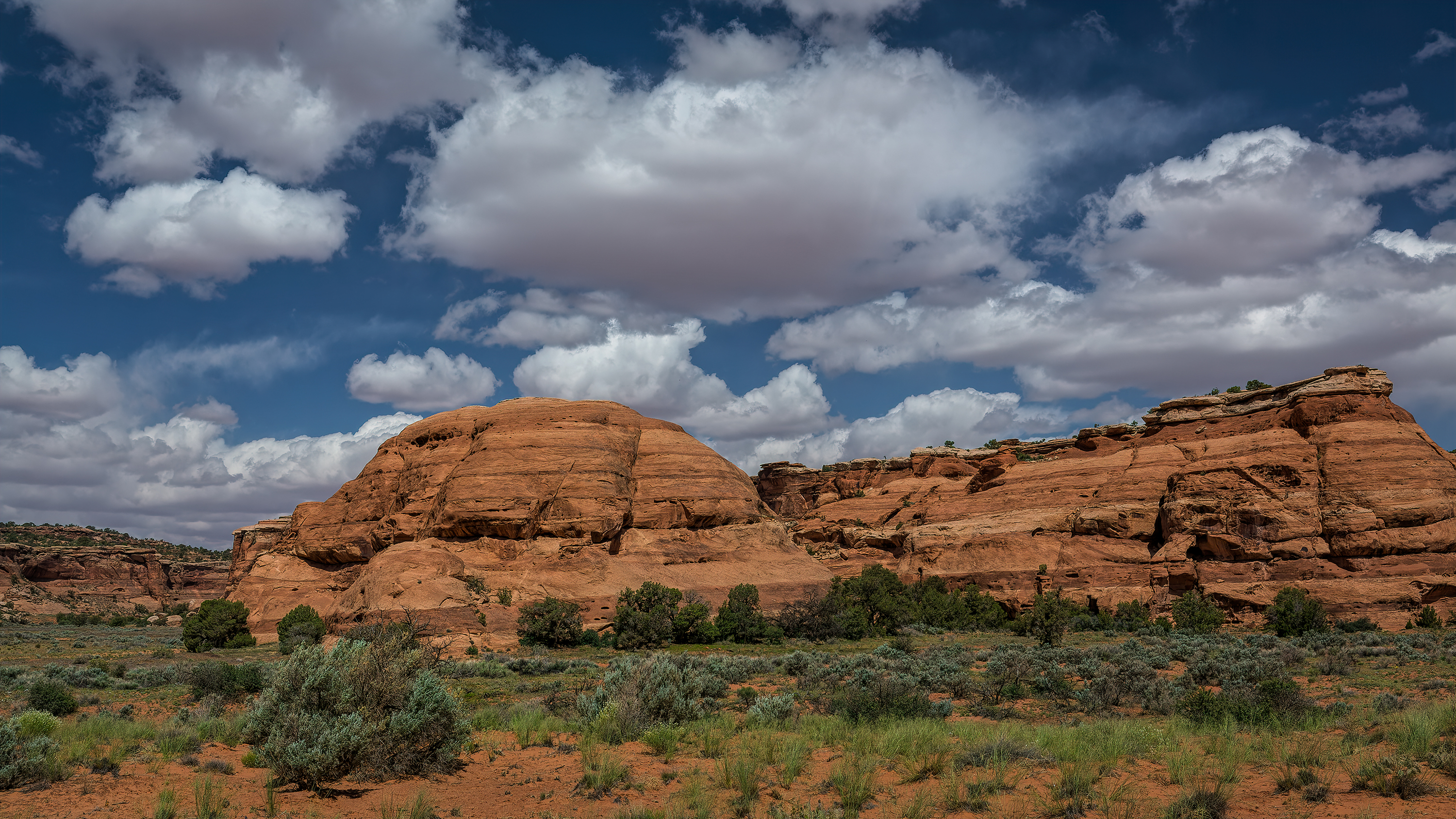 140507-6816-5dm3 (1)-CR2_DxO_DeepPRIME.jpg