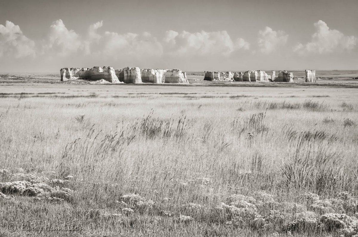 140920_BH_6078-18bw.jpg