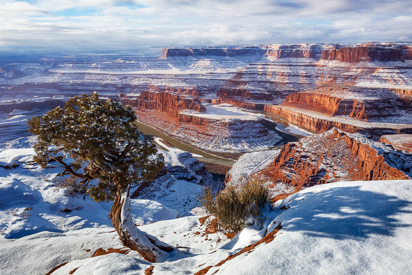 1466 Dead Horse Point Winter_850.jpg