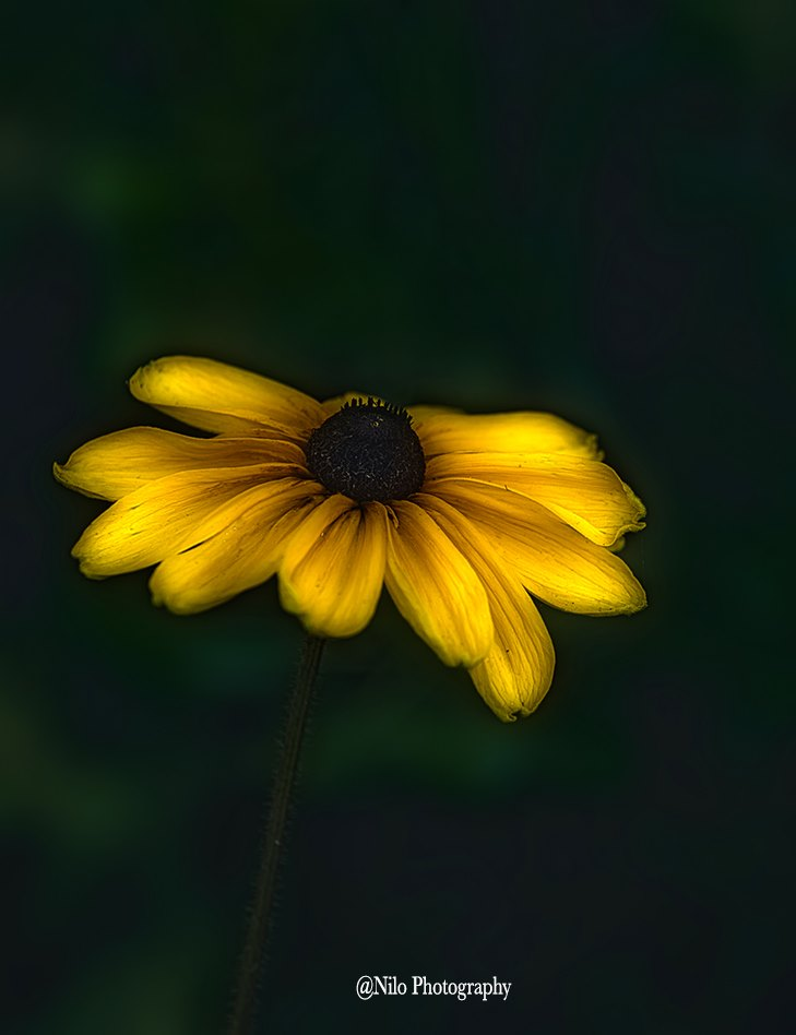 1596560115392.png