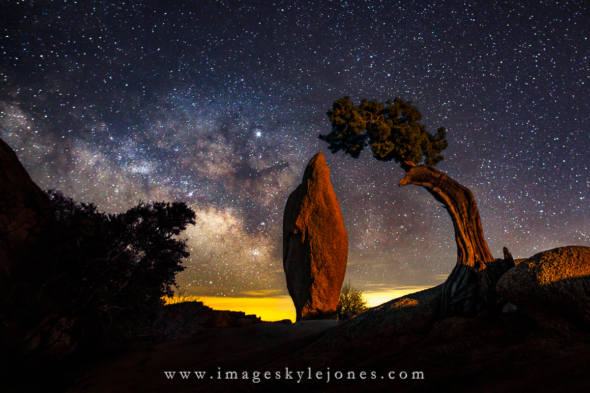 1598 Joshua Tree Moonlit Milky Way_1200.jpg