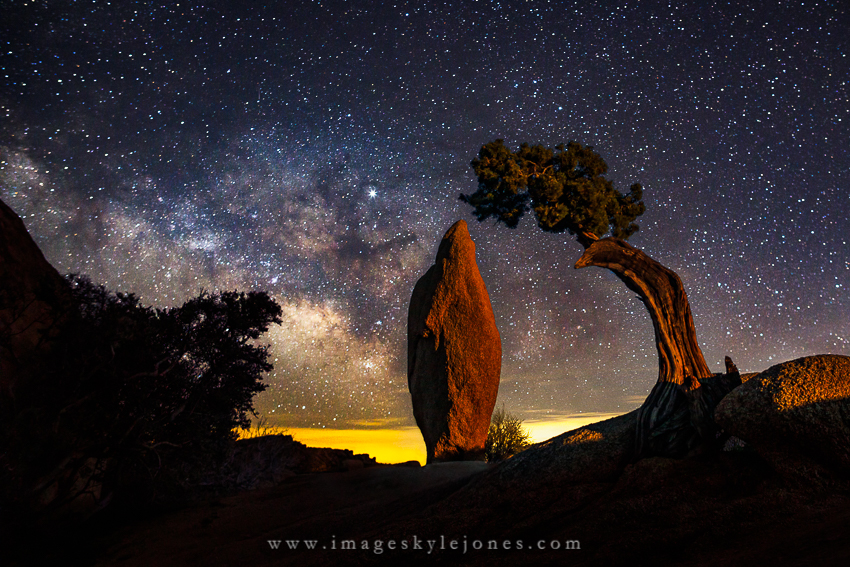 1598 Joshua Tree Moonlit Milky Way_850 (1).jpg