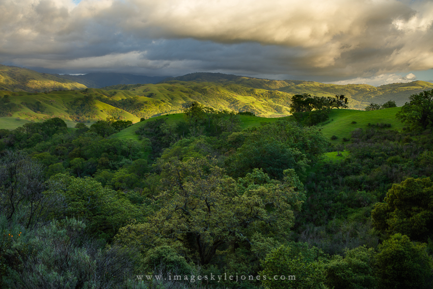 1614 Calaveras Spring_850.jpg