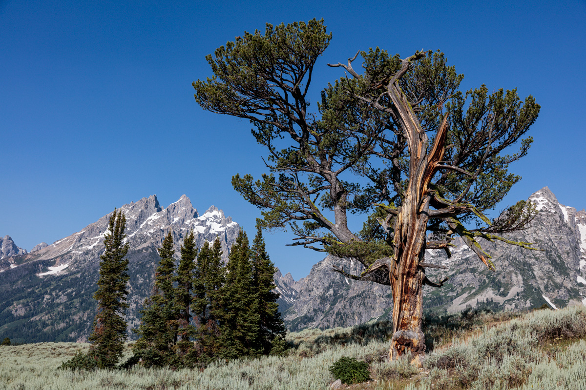 170717-2349-5DS R copy.jpg