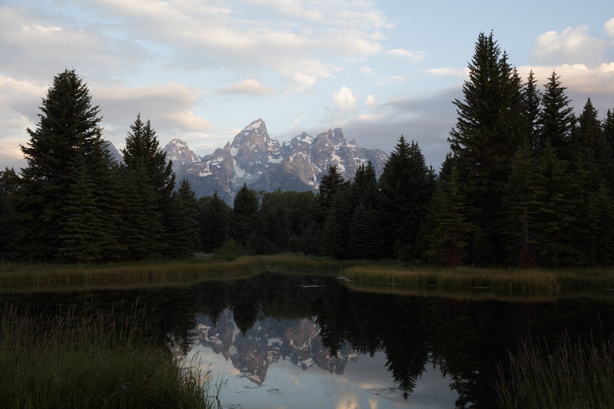 170720-2445-5DS R raw.jpg