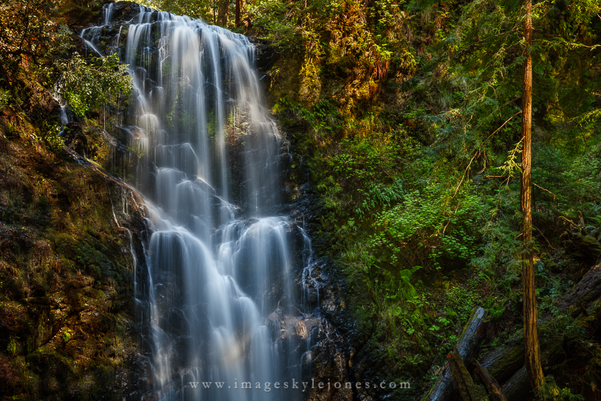 1730 Berry Creek Landscape_850.jpg
