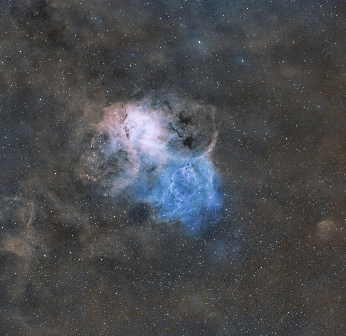 174846090.uN6O7AcN.lionpb.tif.jpg