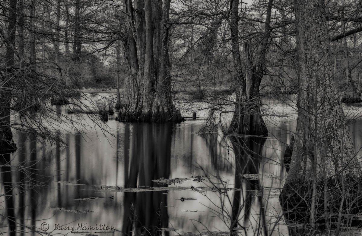180325_BH_4786bw.jpg