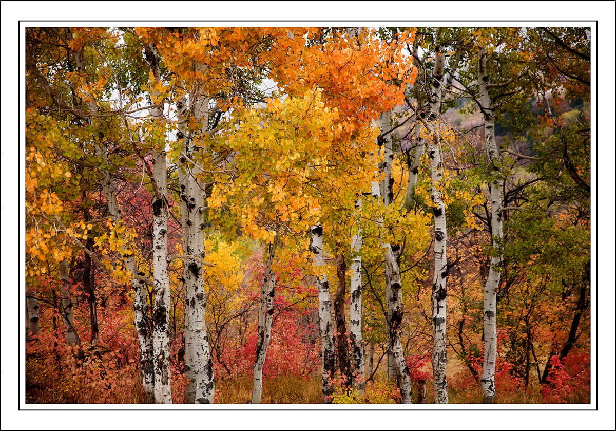 181008-9233-5DS R.jpg