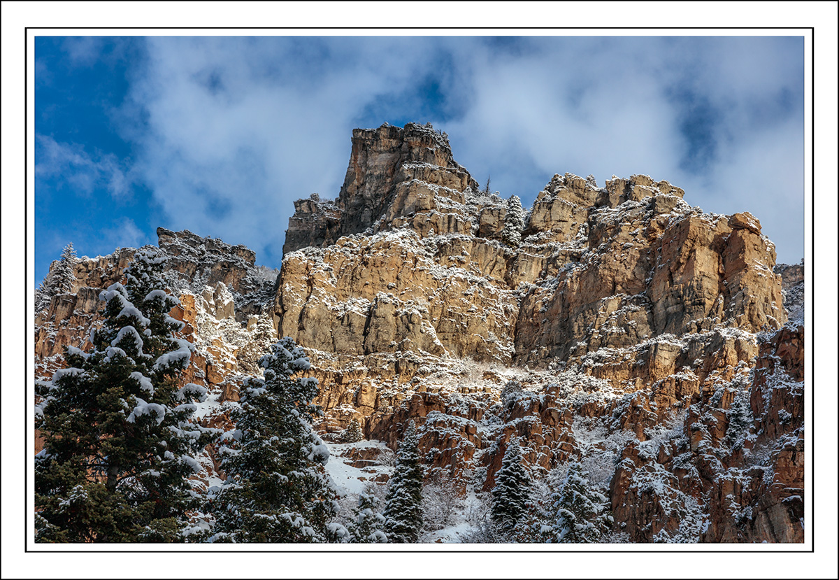 190304-9541-5DS R.jpg