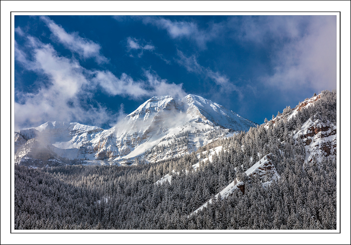 190304-9555-5DS R.jpg