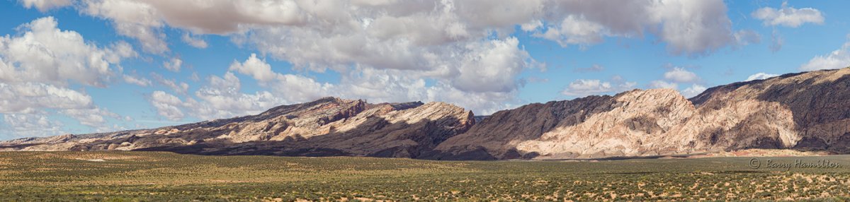 190430_BH_7918.jpg