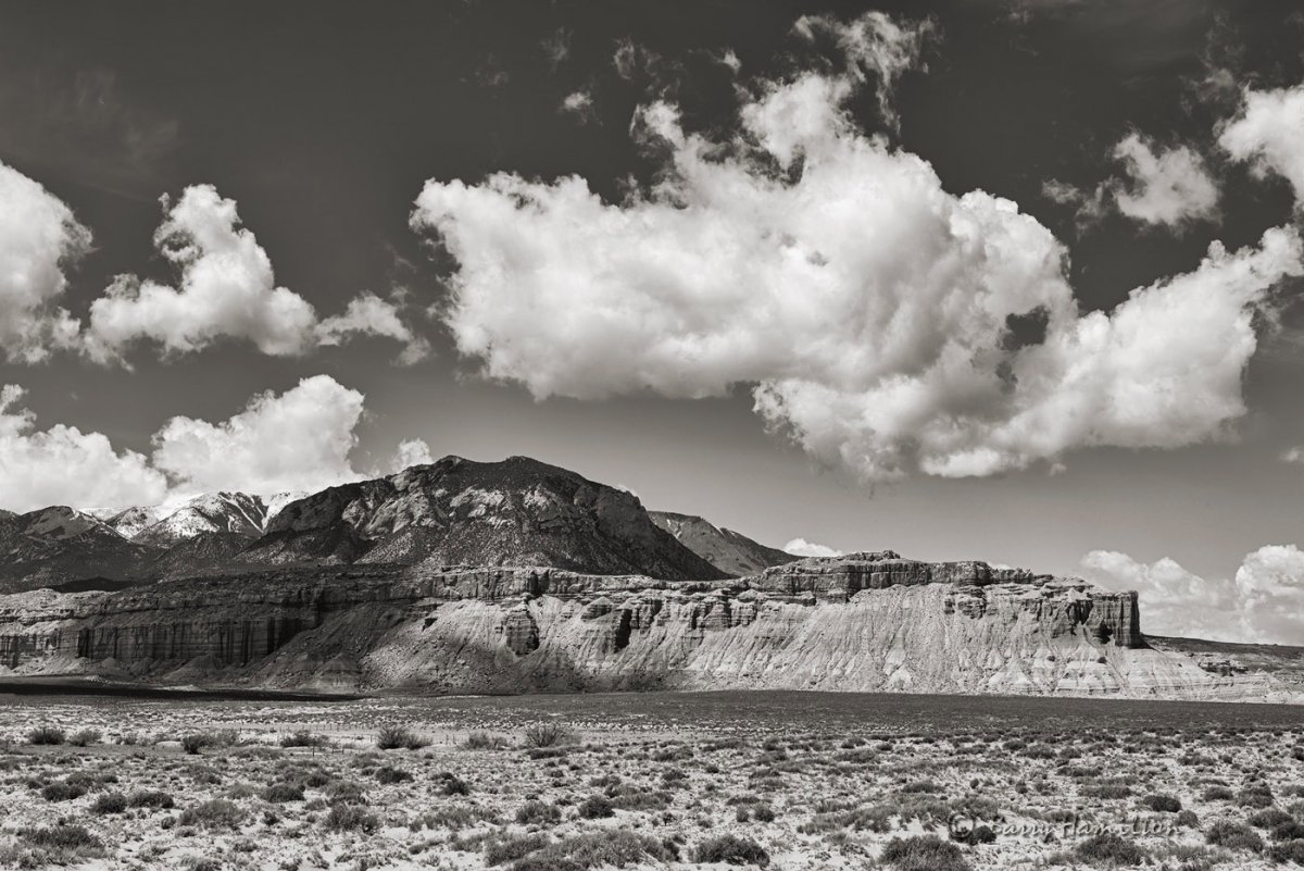 190430_BH_7969bw.jpg
